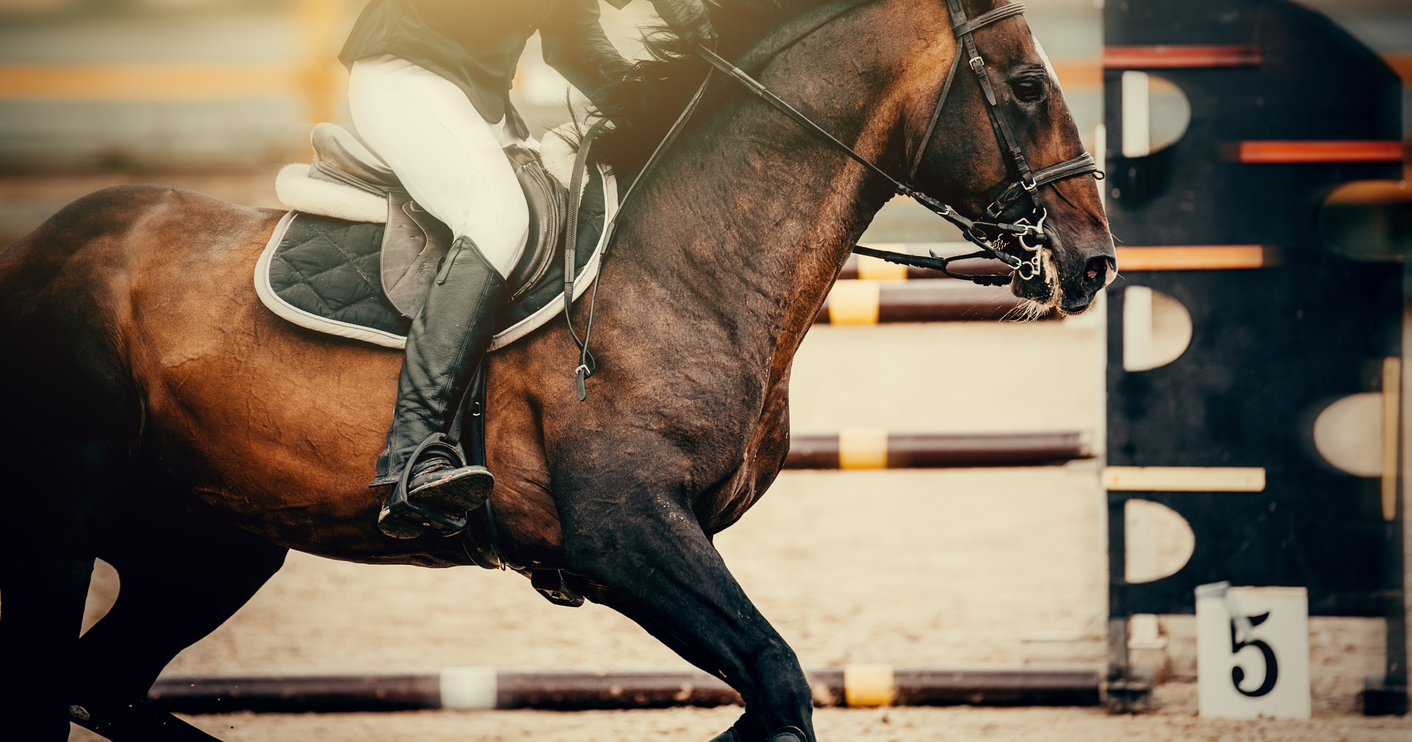 <span data-no-translation>Jumping Amsterdam 2026</span>