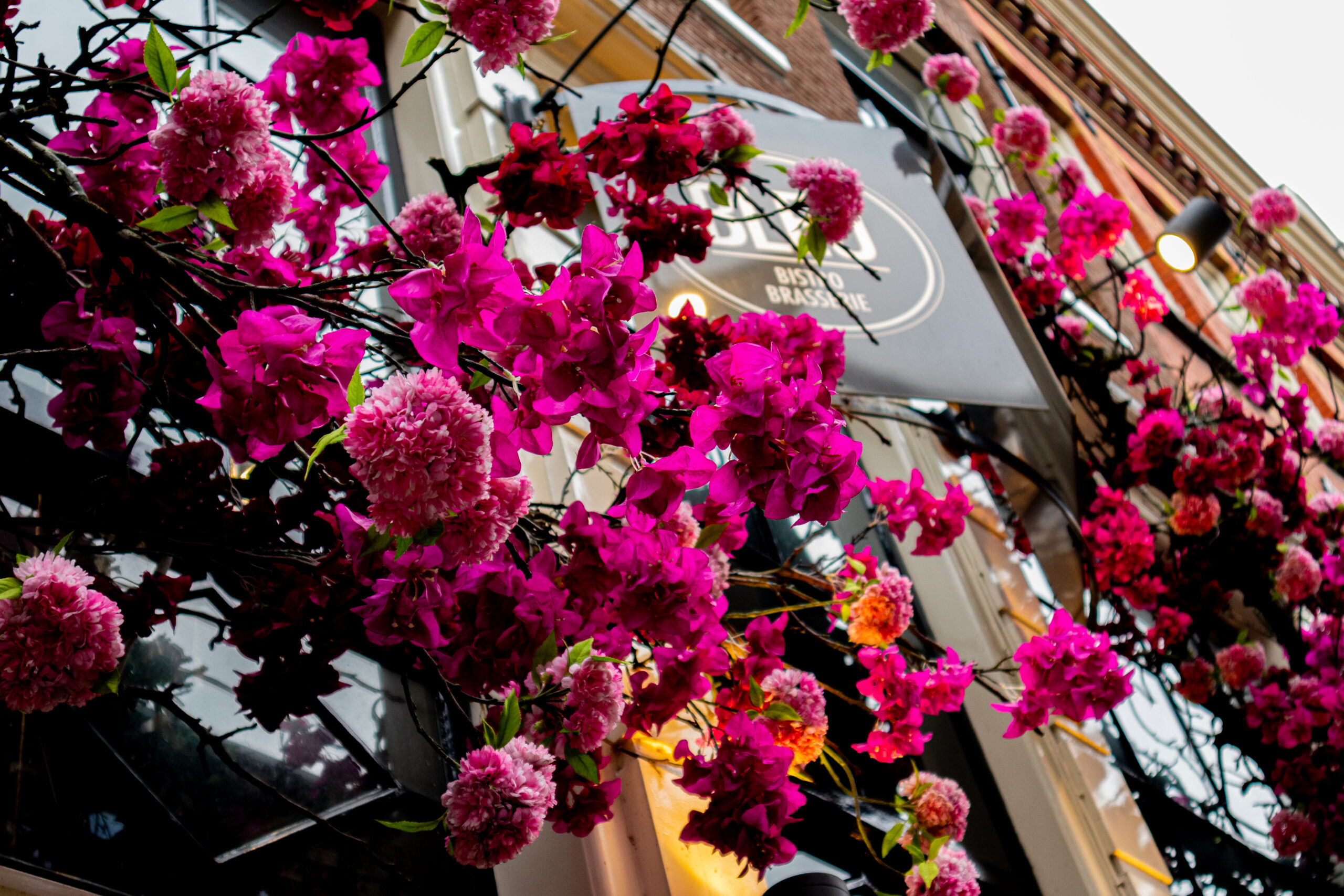 Bistro Bleu Amsterdam